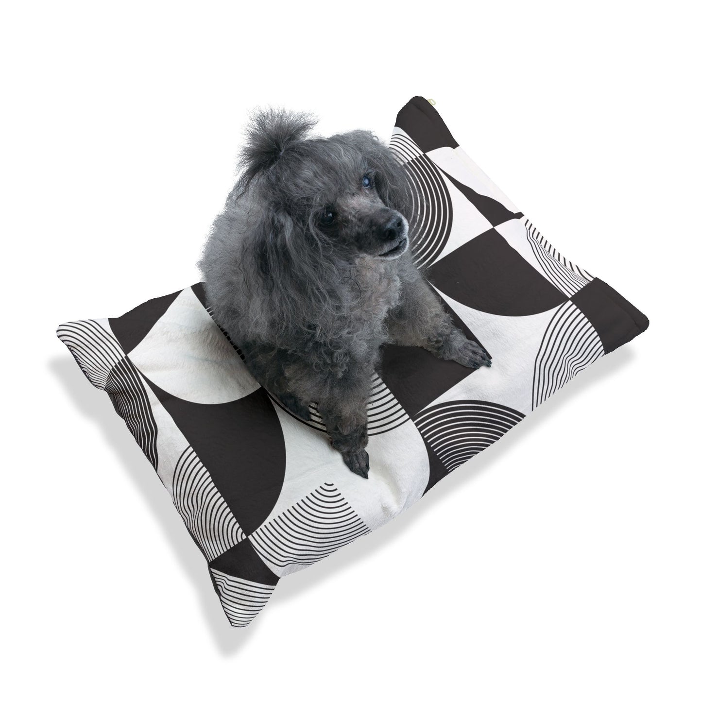 Pet Bed